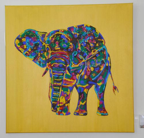Elefant Leinwand 100 x 100 cm bunt